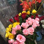 A display of vibrant flowers including pink roses, yellow roses, red roses, and orange gladiolus arranged in bouquets. A mesh background has a sign that reads "Warwick Flowers." The flowers are fresh and dewy, creating a lively and colorful scene.