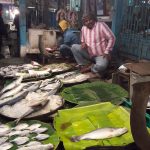 A man in a striped shirt and headscarf sits behind a fish stall in a market. Various fresh fish are displayed on banana leaves. Another person is seen in the background, possibly preparing fish. The market environment is illuminated by hanging lights.