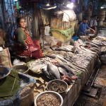 A fish market stall featuring a woman sitting and smiling behind a variety of fresh fish and seafood neatly displayed on a counter. There are prawns, crabs, and various fish species. Another person is sitting in the background, and the market floor is wet.