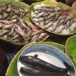 A market stall features an assortment of fresh seafood. Various types of fish, shrimp, and prawns are arranged neatly on large green banana leaves. A round metal tray in the foreground holds two large, dark-colored fish. People are seen in the background.