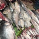 A market stall displays a variety of fresh fish on a bed of ice, including larger silver fish, smaller whole fish with red gills, and fish heads. An arm is visible in the background, holding a fish, preparing it for sale. Other fish and seafood are also visible nearby.