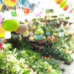 A vibrant garden store with hanging plants in colorful pots and lush greenery on the ground. The sunlight filters through, creating a bright and cheerful atmosphere. The sidewalk is partially visible, adding structure to the scene.