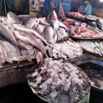 A market stall displays various types of fresh fish and seafood. There are large fish laid out on ice, smaller fish arranged in piles, and a heap of shrimp also on ice. In the background, a vendor is working, and other seafood items are visible on the table.